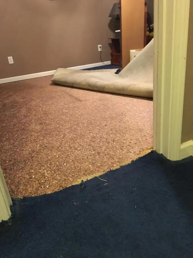 Carpet pad removal revealing water damage during Drying & Dehumidification in Ranson corporation